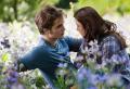 Où Edward et Bella partent-ils?